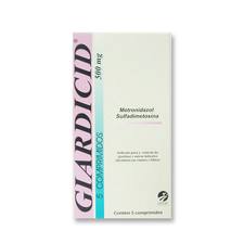 cepav-giardicid500