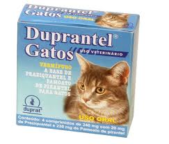 duprat-duprantelgatos